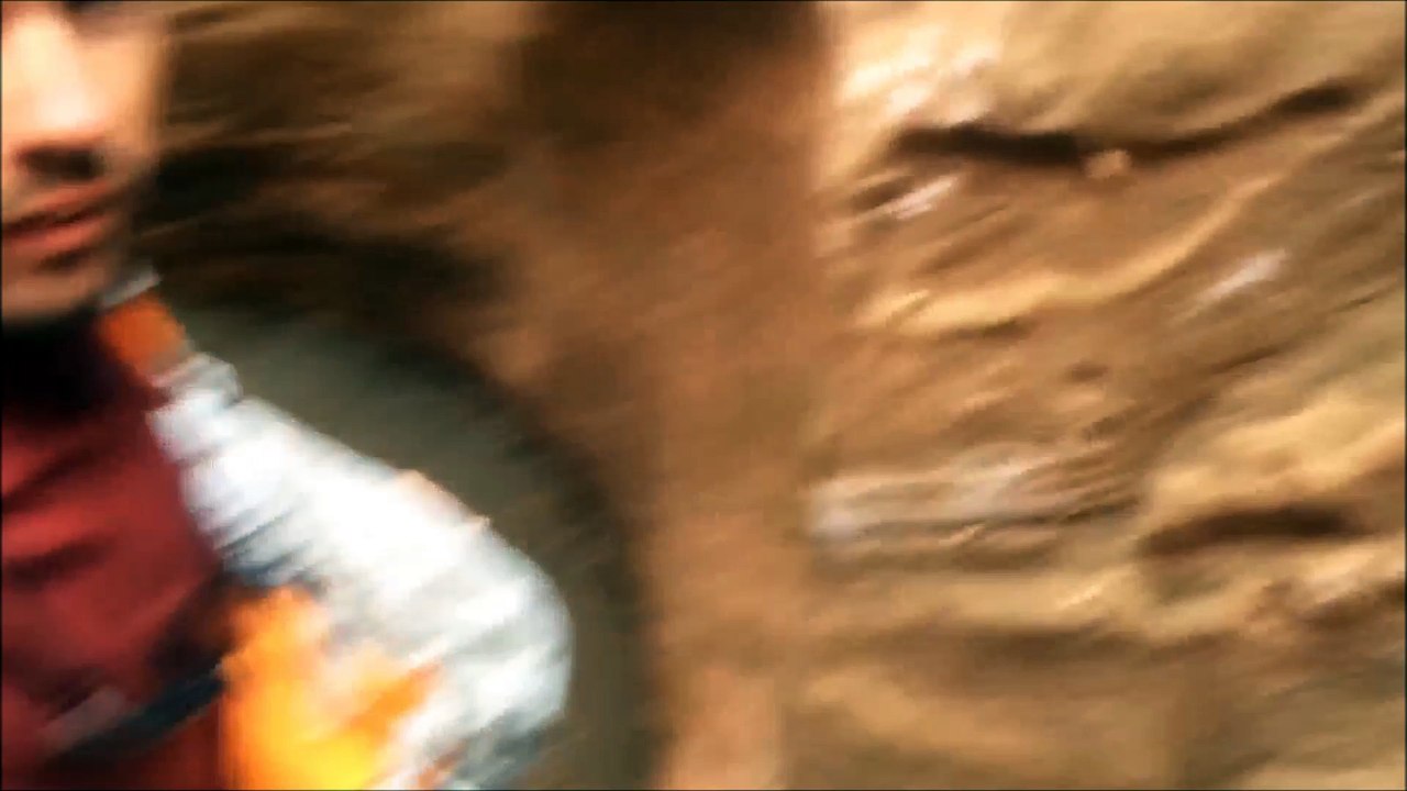 Il gufo nel Canyon - Owl in The Canyon