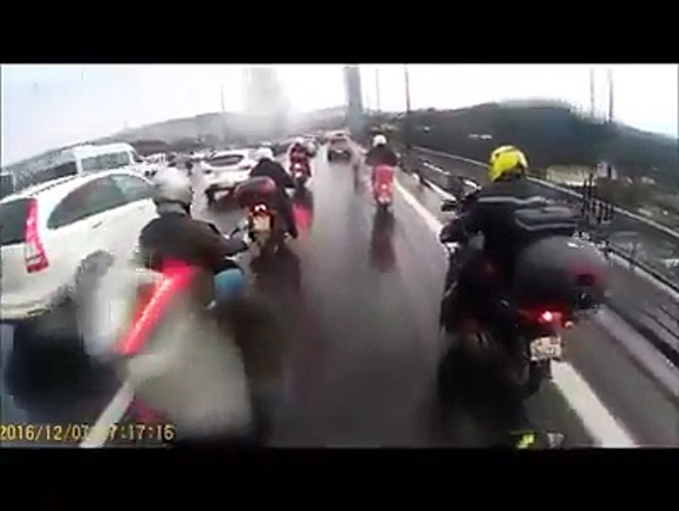 Bikers Shield Stray Dog From Traffic