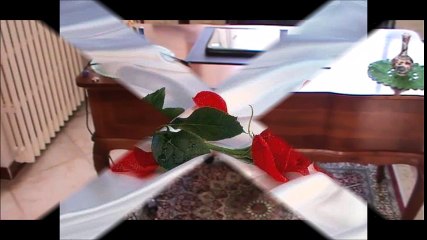 Poesia e Poeti visti dal mio studio