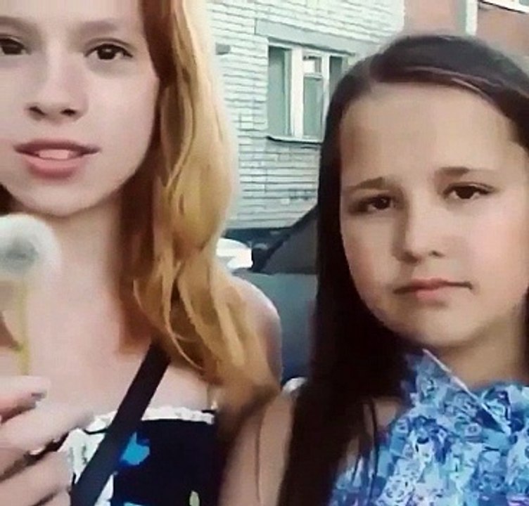 Funny Clip