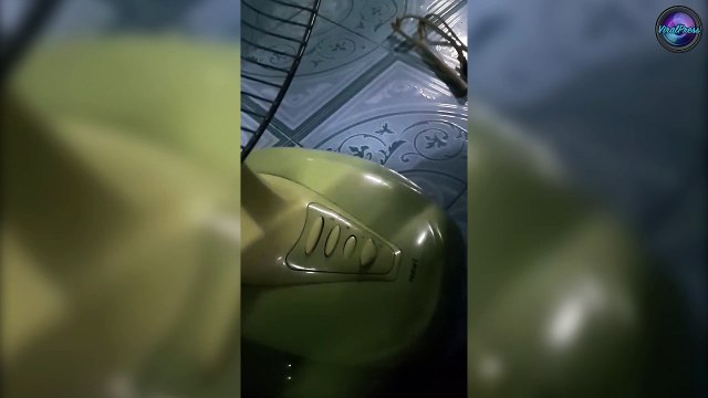 Thai Man Stops Moving Fan With His Tongue