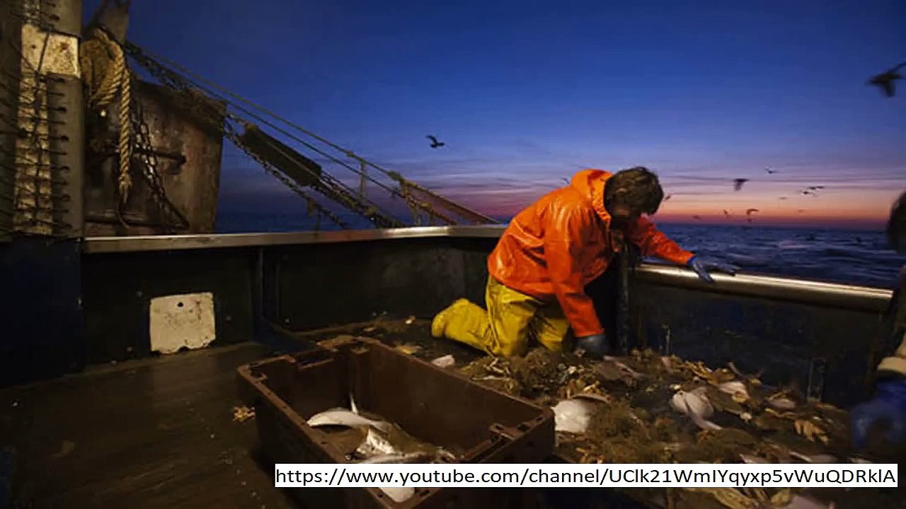 No French or Spanish boats in our waters! Michael Gove to ban foreign fishing post Brexit