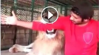 Dubai Prince Playing with his Pet Lions