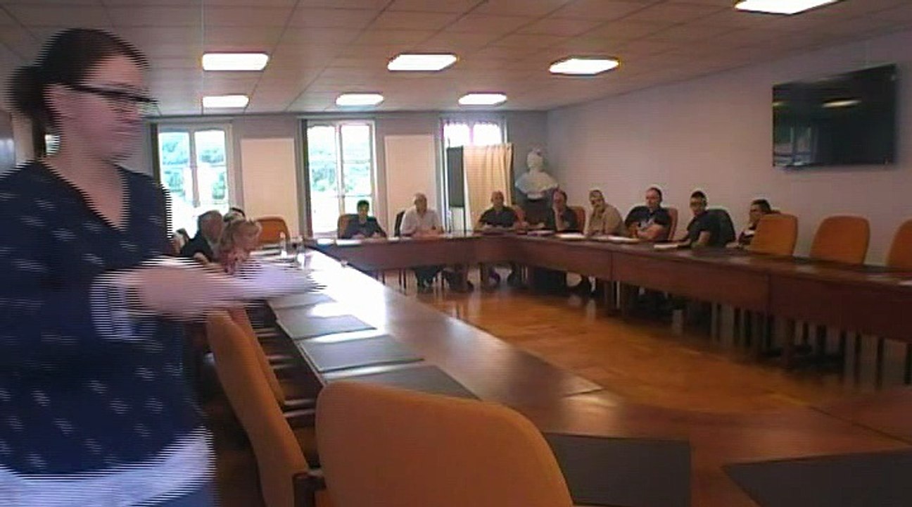 CM-30-JUIN-2017-LONGEVILLE LES ST AVOLD PARTIE-1