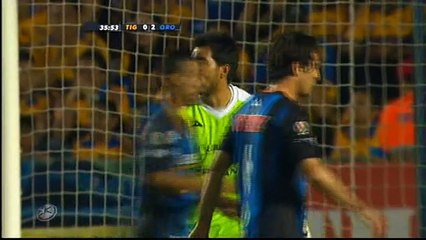 Danilinho ( Midfielder Ofensive / Striker )