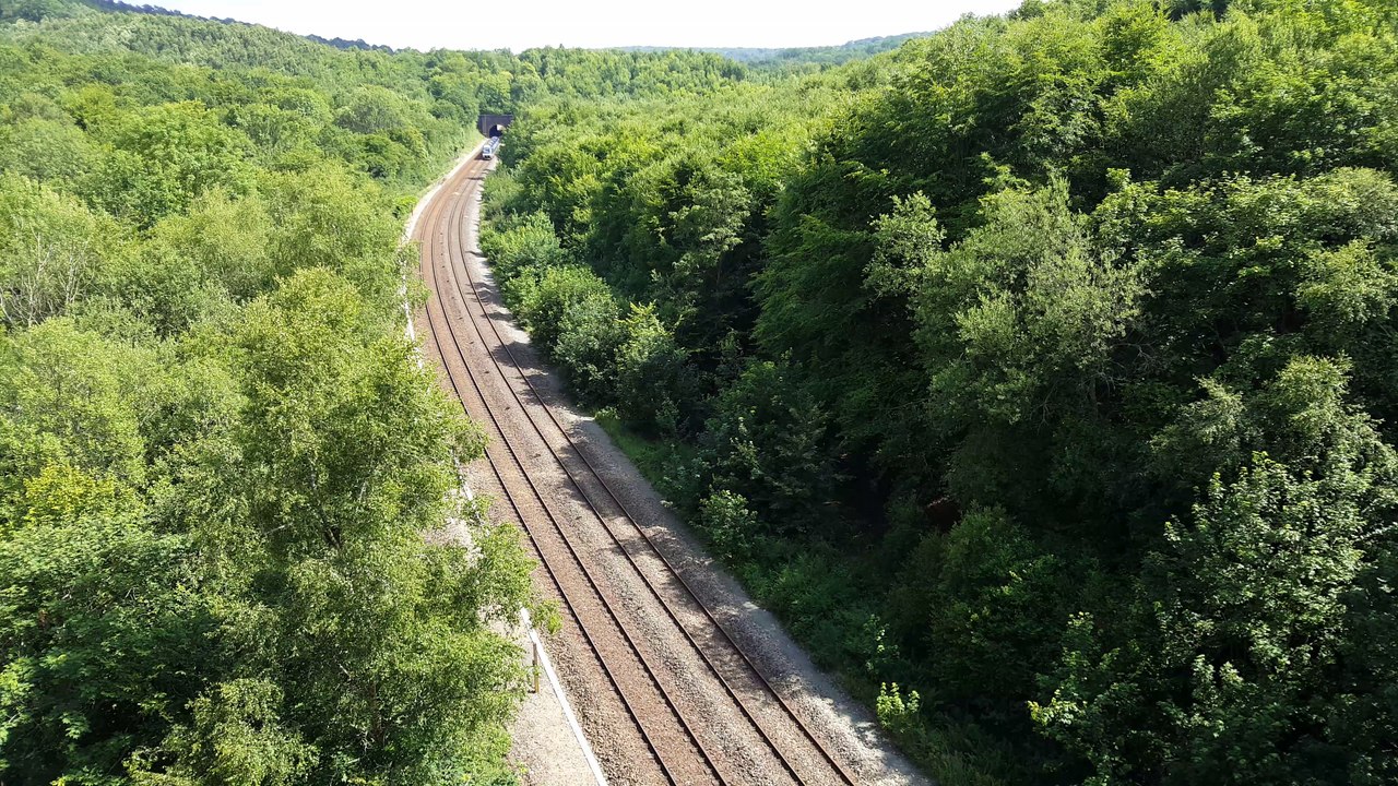 Train Rouen Caen vu à La Londe, depuis le viaduc