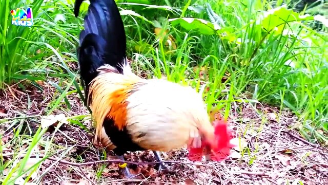 Một Con Vịt, Chú Mèo Con, Con Heo Đất, Nhạc Thiếu Nhi Remix