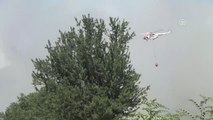 Ezine'de Orman Yangını (2)