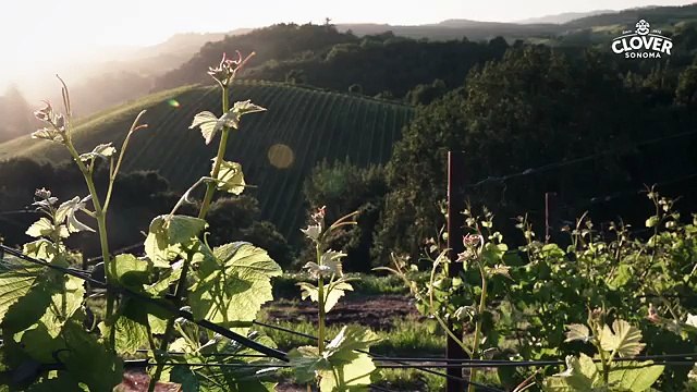 Insolite : partez à la rencontre de Bas de Groot, premier sommelier du lait