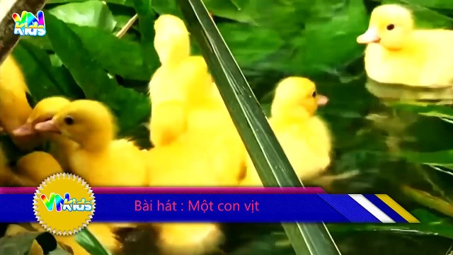 Hai Con Thằn Lằn Con - Nhạc Thiếu Nhi Vui Nhộn Hay Nhất