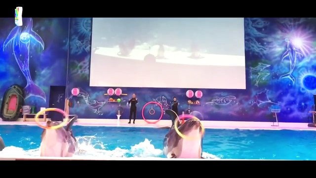 Hai Con Thằn Lằn Con _ Nhạc Thiếu Nhi Vui Nhộn _ Giúp Bé Ăn Ngon Miệng