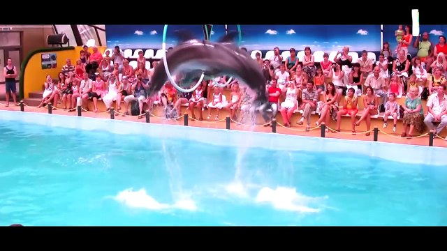 Liên Khúc NHẠC THIẾU NHI ♪♫ MỘT CON VỊT ♪♫ CON HEO ĐẤT ♪♫ CHÚ ẾCH CON