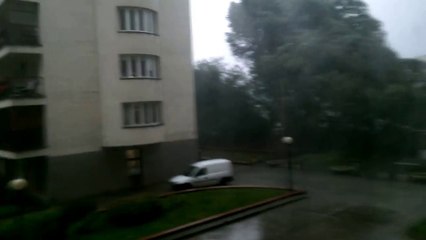 Déracinement de plusieurs arbres lors d'une tempête à Varsovie