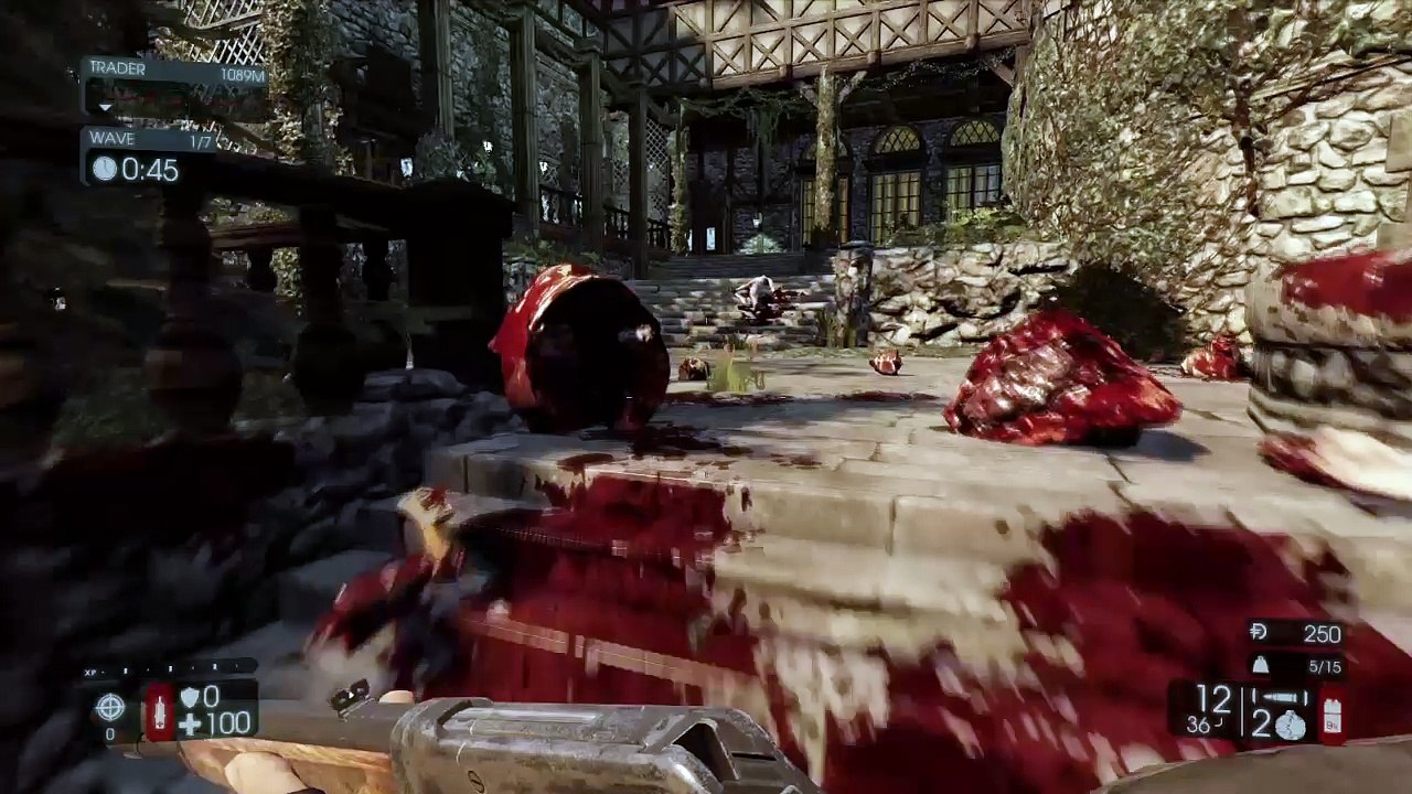 Killing Floor 2 - Chaton sale