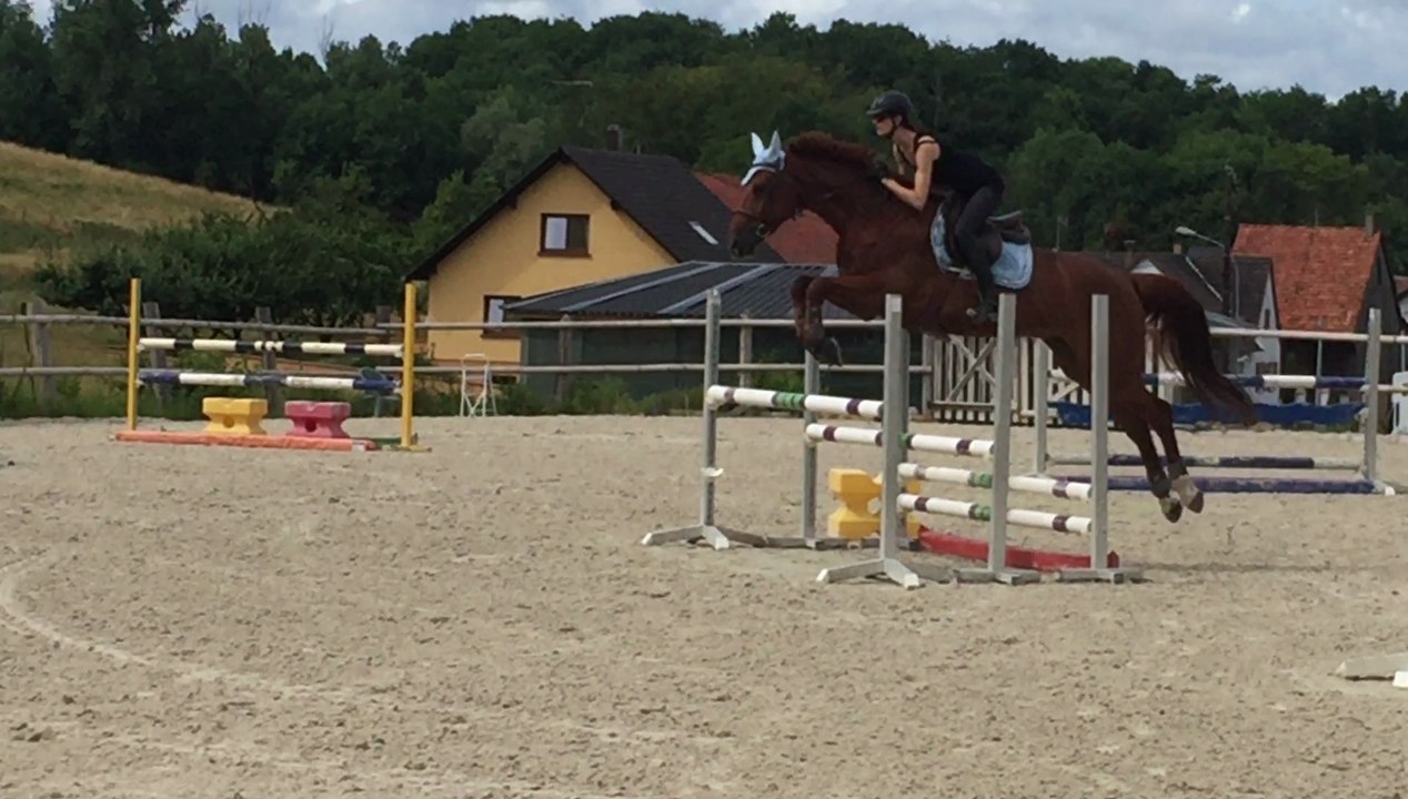 Sexy Boy de Belgy - Obstacle - 29 juin 2017