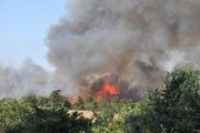 Ezine'de Orman Yangını (3)