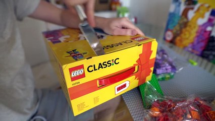 BUILDING MY DOG HIS DREAM LEGO HOME!!!