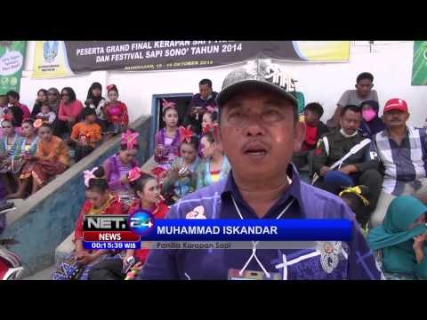 Karapan sapi piala Presiden digelar di Stadion Kota Pamekasan - NET24
