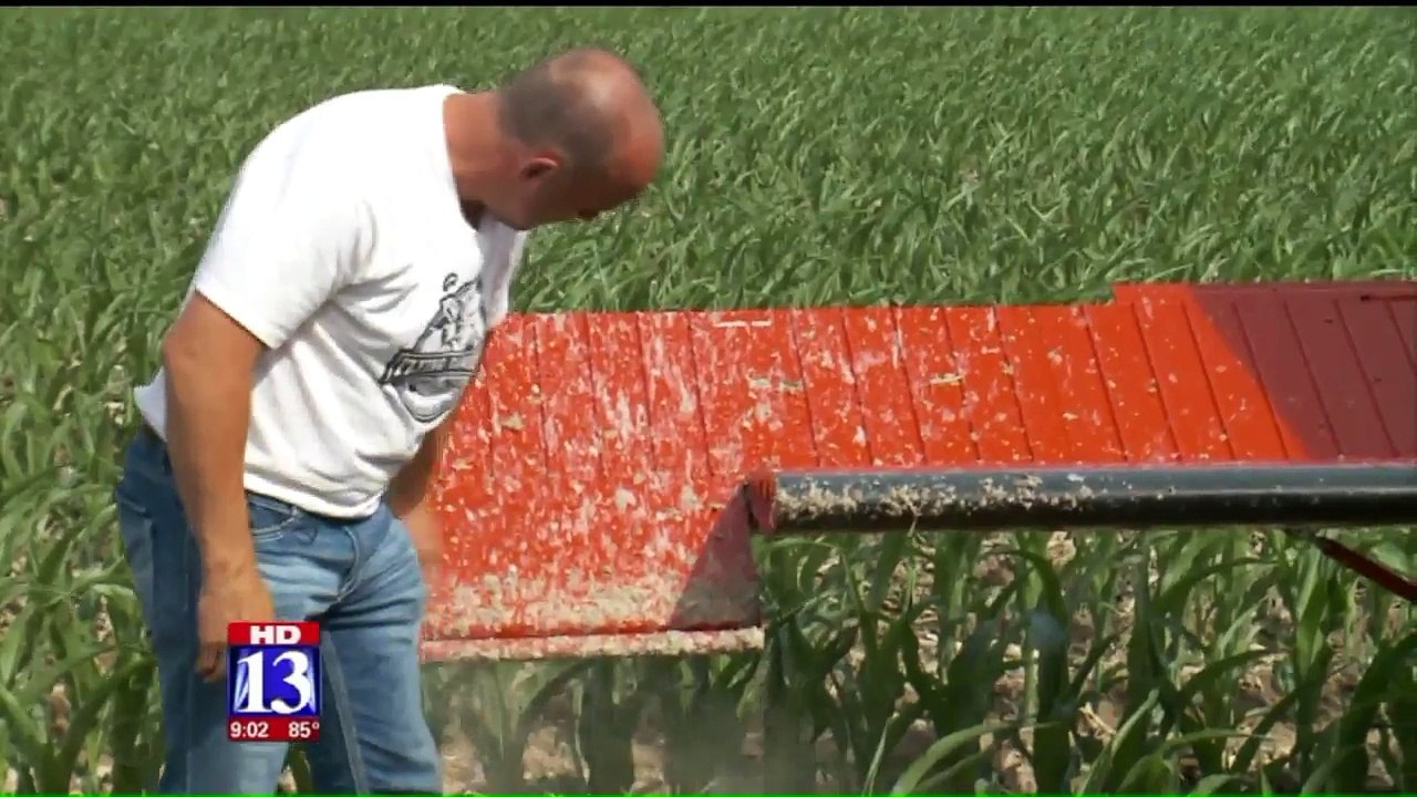 Pilot Makes Emergency Landing in Corn Field After Engine Explodes