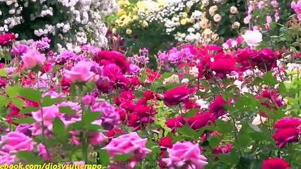 MUSICA HEBREA    ( 30 minutos a solas con YHWH )