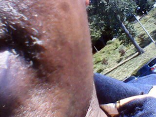 In Erie P.A at the lake