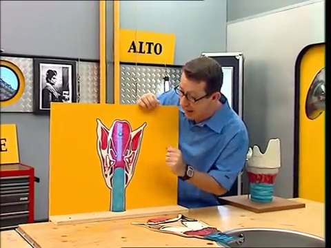 Pourquoi les cordes vocales vibrent-elles - C'est pas sorcie