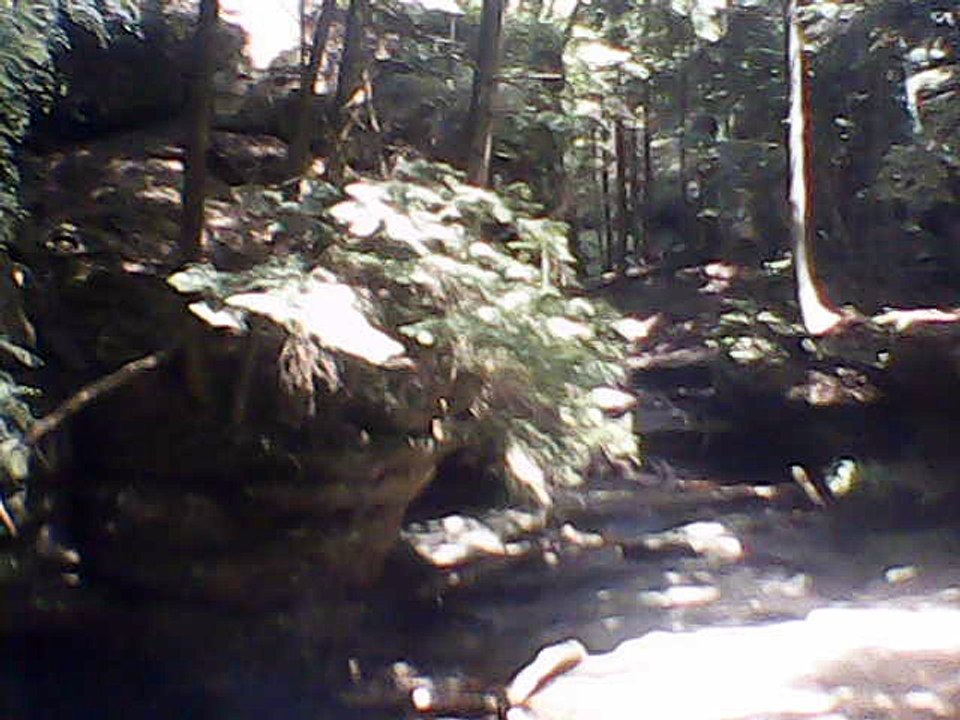 walk in national park