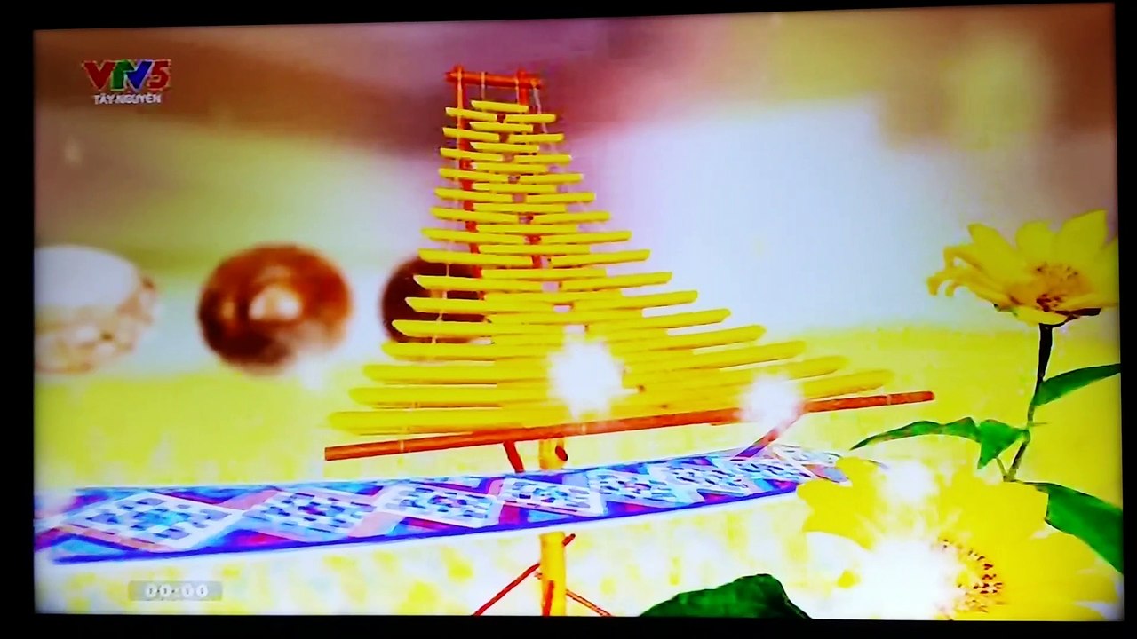 VTV5 Tây Nguyên