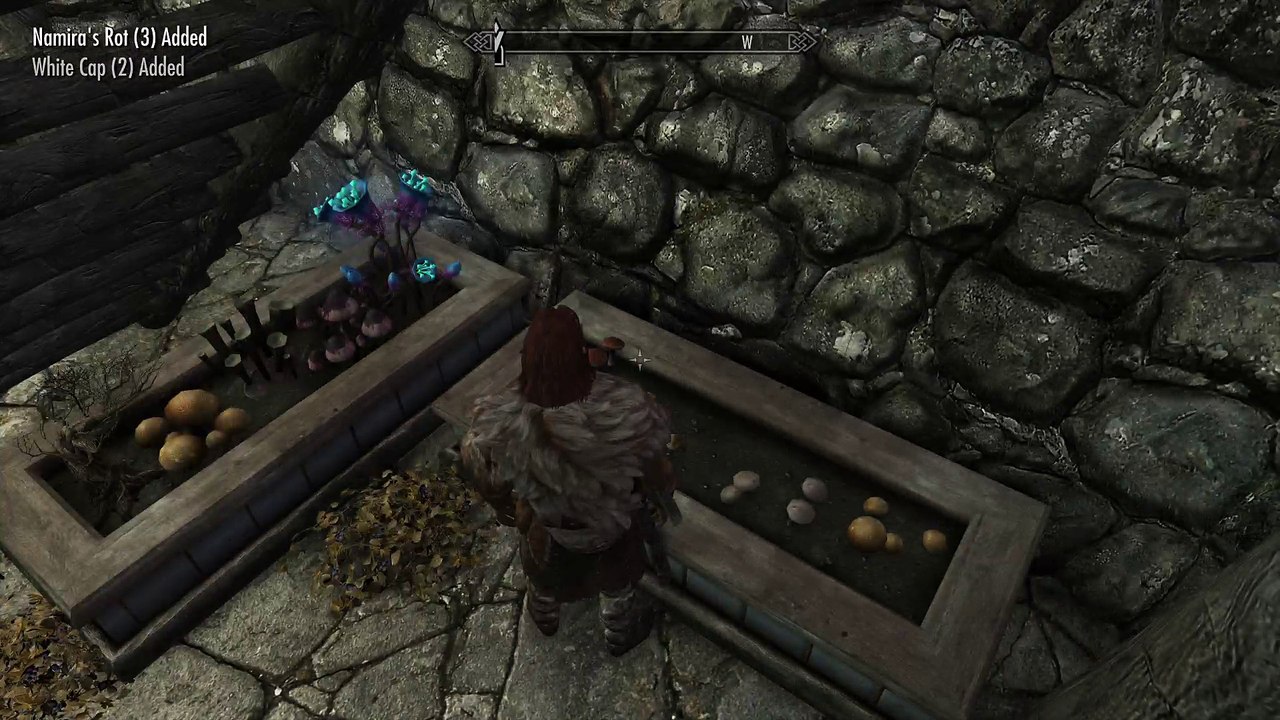 Skyrim_20170702170543