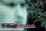 Pedófilos en las redes: Pese a pruebas siguen libres