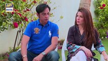 Bulbulay Ep 455 - 2nd July 2017 - مجھے ورلڈ ٹور پر جانا ہے...مومو کی ضد - ARY Digital Drama