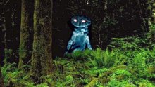 Unknown Creatures caught on Ca