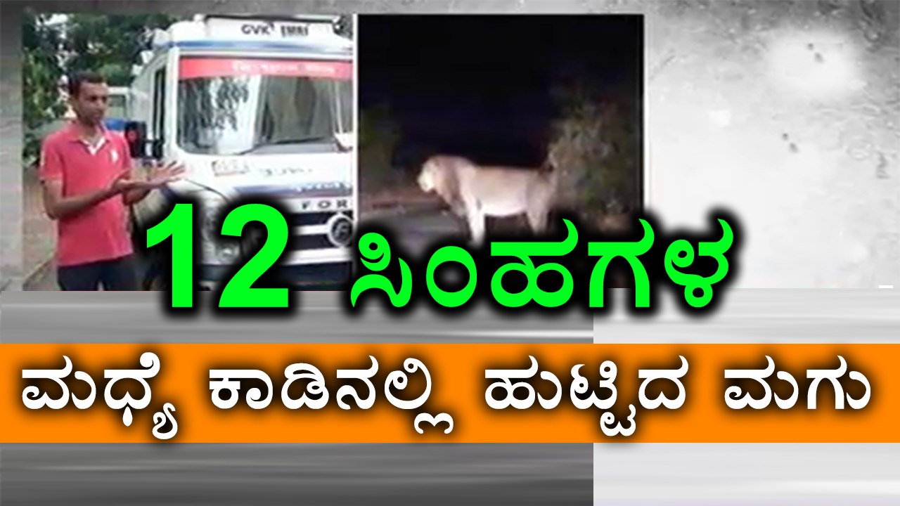 Gujarat :A Baby Born In Ambulance Surrounded By 12 Lions In The Forest  | Oneinida Kannada