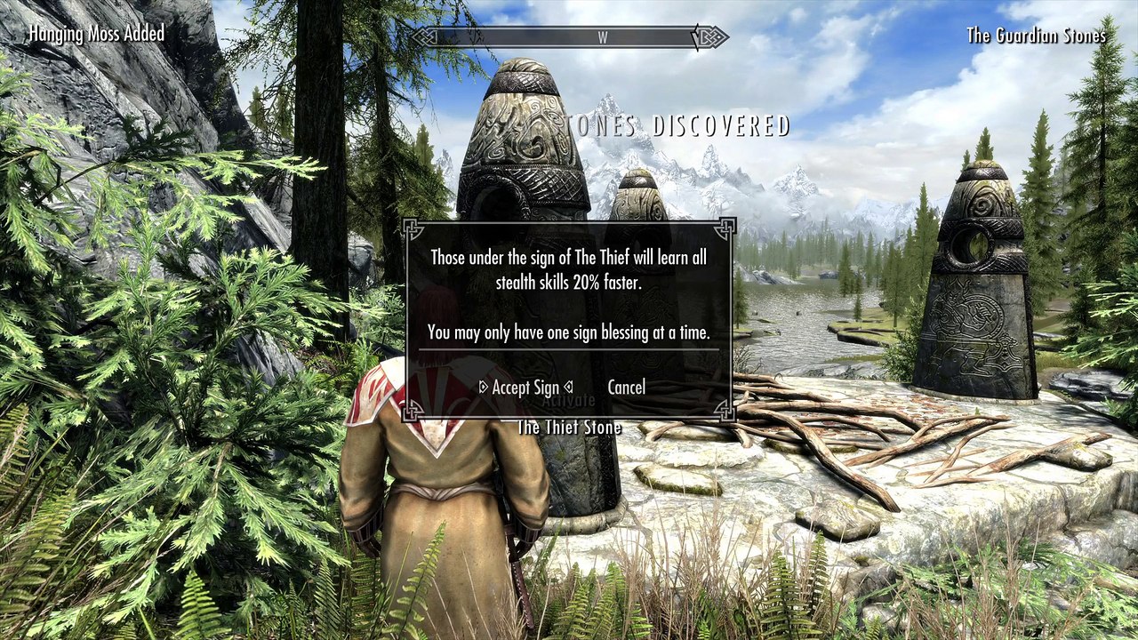 Skyrim_20170702171659