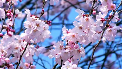 Kendinizi doğaya bırakın ve güne başlayın _Bilge_