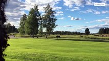 Un golfeur poursuivi par un élan en Suède