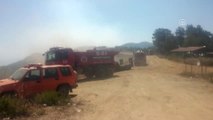 Mersin'deki Orman Yangını - Orman Bölge Müdürü Yılmaz