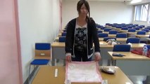 How to wrap a lunch box in in Japanese furoshiki