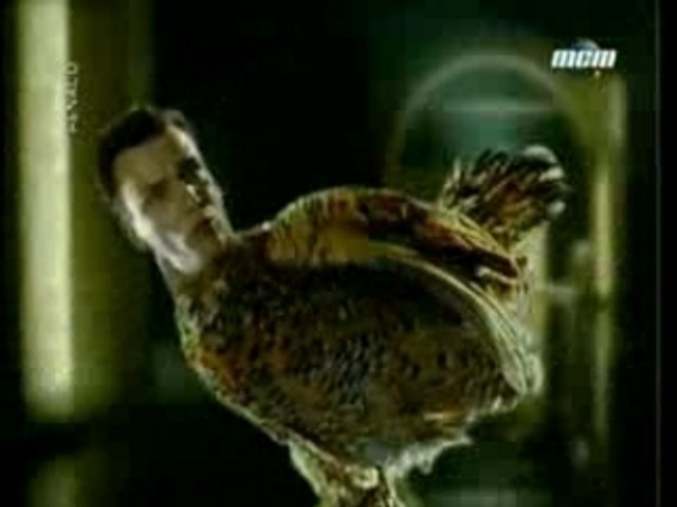 Renaud - Le Petit Voleur - Clip Video