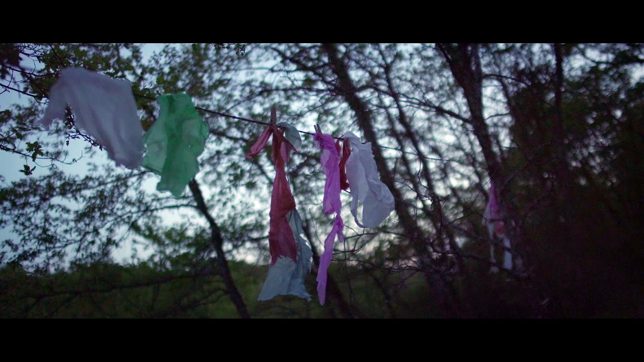 The Man In Blue / L'Homme bleu (2017) - Trailer (International)