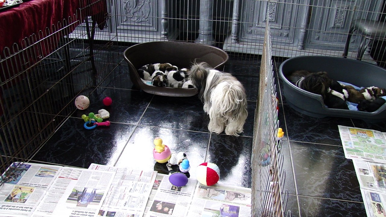 BBde falbala et julietta  2