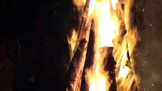 Big Campfire in Vietnamese forest