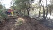 30 Hektarı Kül Eden Çanakkale'deki Orman Yangını Kontrol Altına Alındı