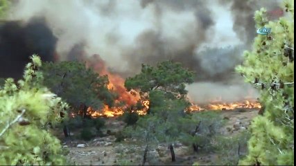 KKTC'de Çıkan Yangın Söndürülemiyor