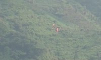 Seperti Ini Bukit Lokasi Helikopter Basarnas yang Jatuh