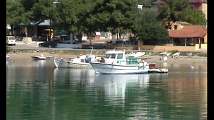 Πανικός από εμφάνιση καρχαρία στη Λάρυμνα