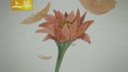 Valen Hsu - Dan Shen Ri Ji (Si Ji Ge)