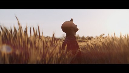 The Gardener & The Tree - Postcards