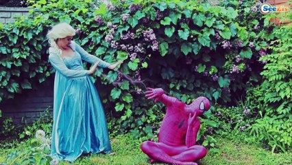 Hulk & Spiderman & Frozen Elsa w/ Pink SpiderGirl! Superheroes in Real Life!