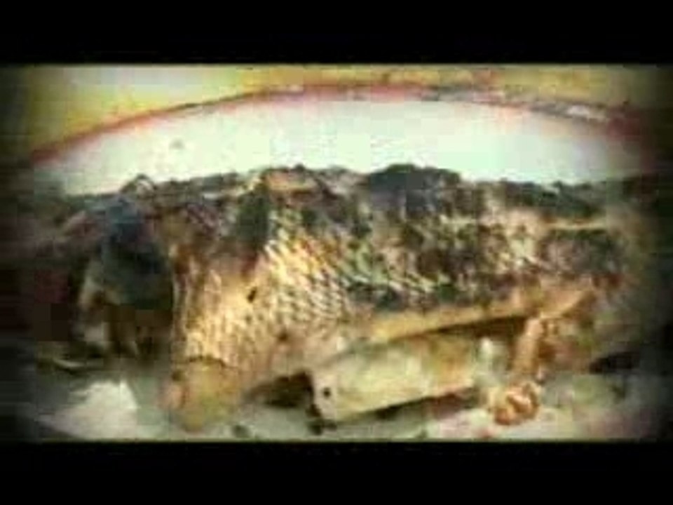 Video FANDRAMA Shaimah - fandrama